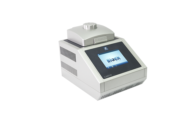 Bioer LifeEco PCR