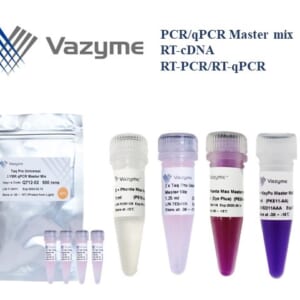 PCR MASTER MIX VAZYME
