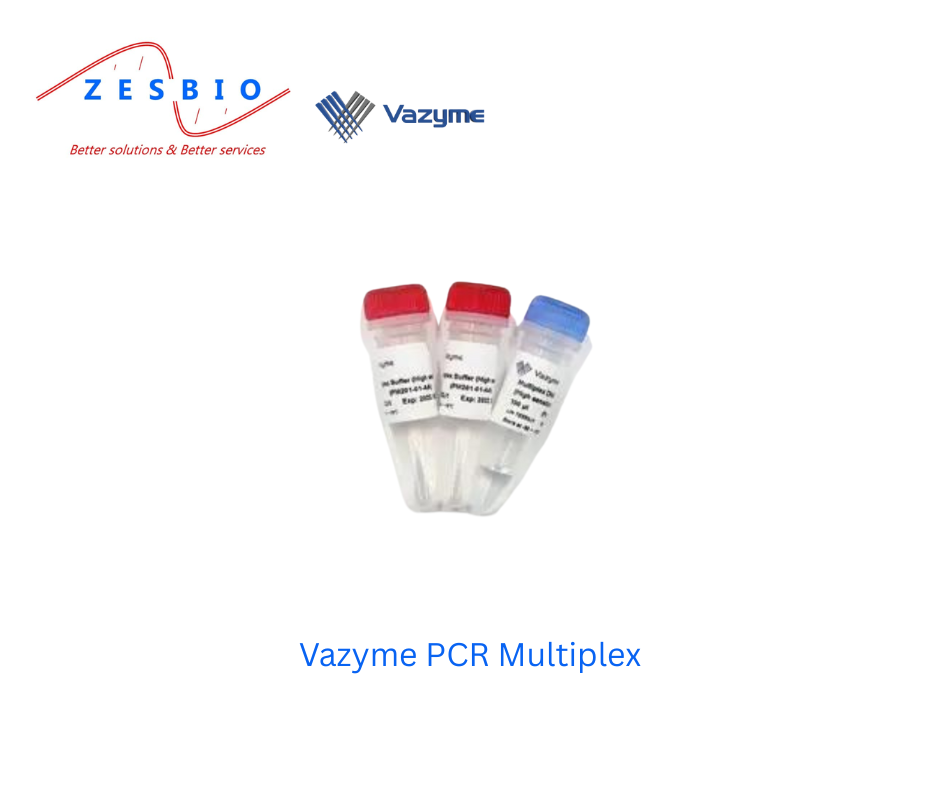 Vazyme PCR MIX – Taq Pro Multiplex DNA Polymerase (High sensitivity)