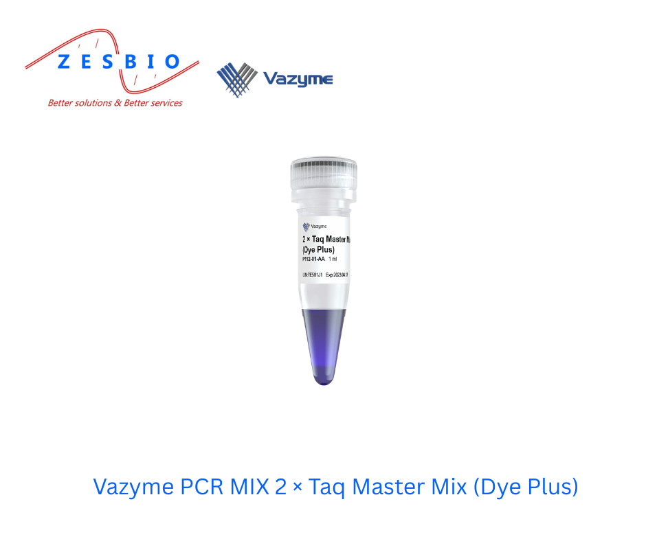 Vazyme PCR MIX 2 × Taq Master Mix (Dye Plus)
