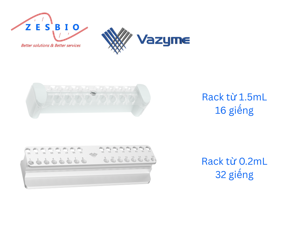 Vazyme Rack từ – Magnetic Separation Rack 0.2 mL 32 Wells/ 1.5ml 16 Wells- Hieffimag Separation Rack CM101 CM103