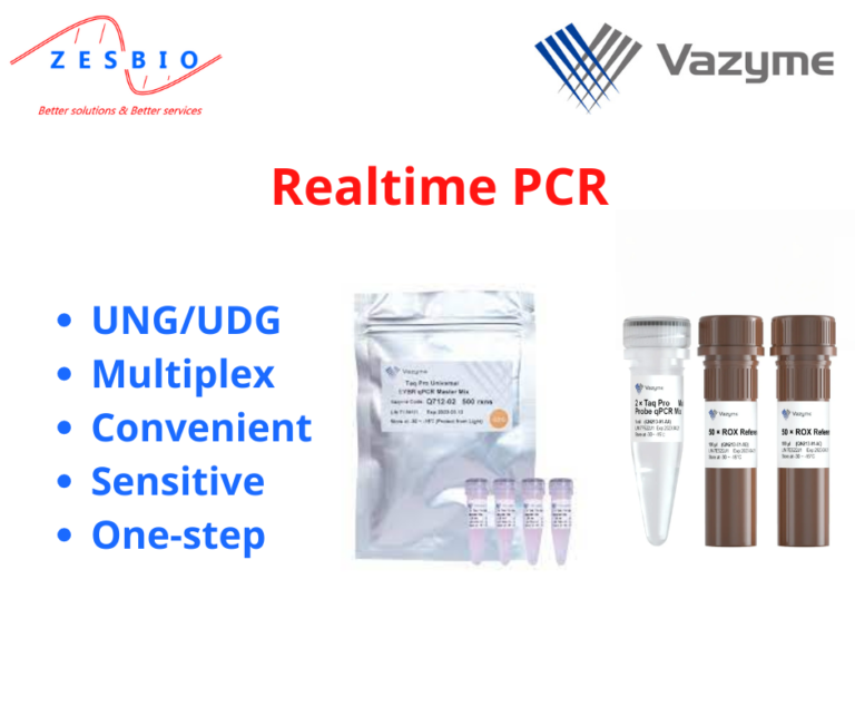 ClonExpress Ultra One Step Cloning Kit - Công ty Cổ phần Công nghệ sinh ...
