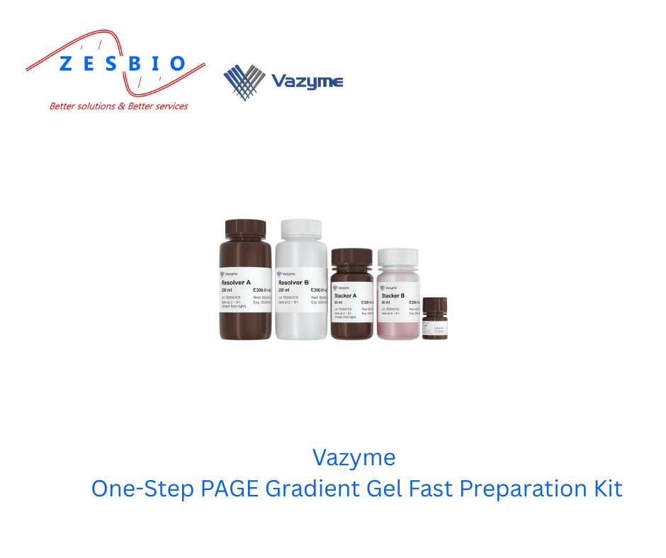 Vazyme Tế bào – One-Step PAGE Gradient Gel Fast Preparation Kit