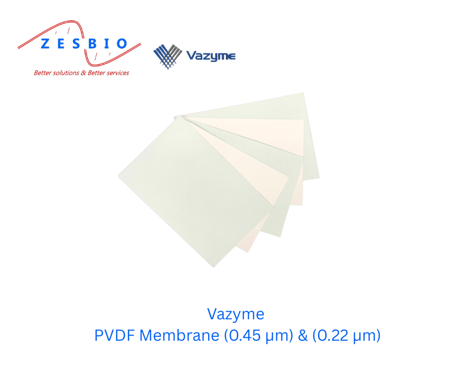 Vazyme Tế bào – PVDF Membrane (0.45 μm) & PVDF Membrane (0.22 μm)