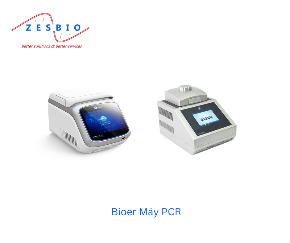 Bioer – Máy PCR LifeECO Thermal Cycler & GeneExplorer Gradient Thermal Cycler