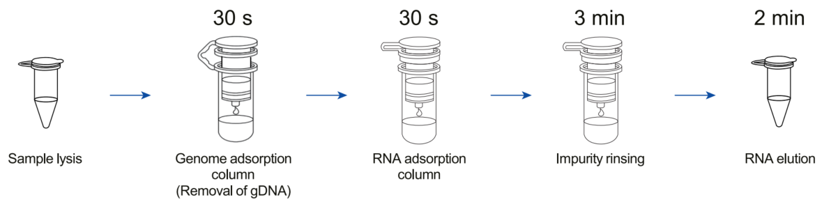 Vazyme Tách thô và tủa – FastPure Cell/Tissue Total RNA Isolation Kit RC102 &  VeZol Pure Total RNA Isolation Kit RC202 – Tách RNA tổng số từ tế bào động vật