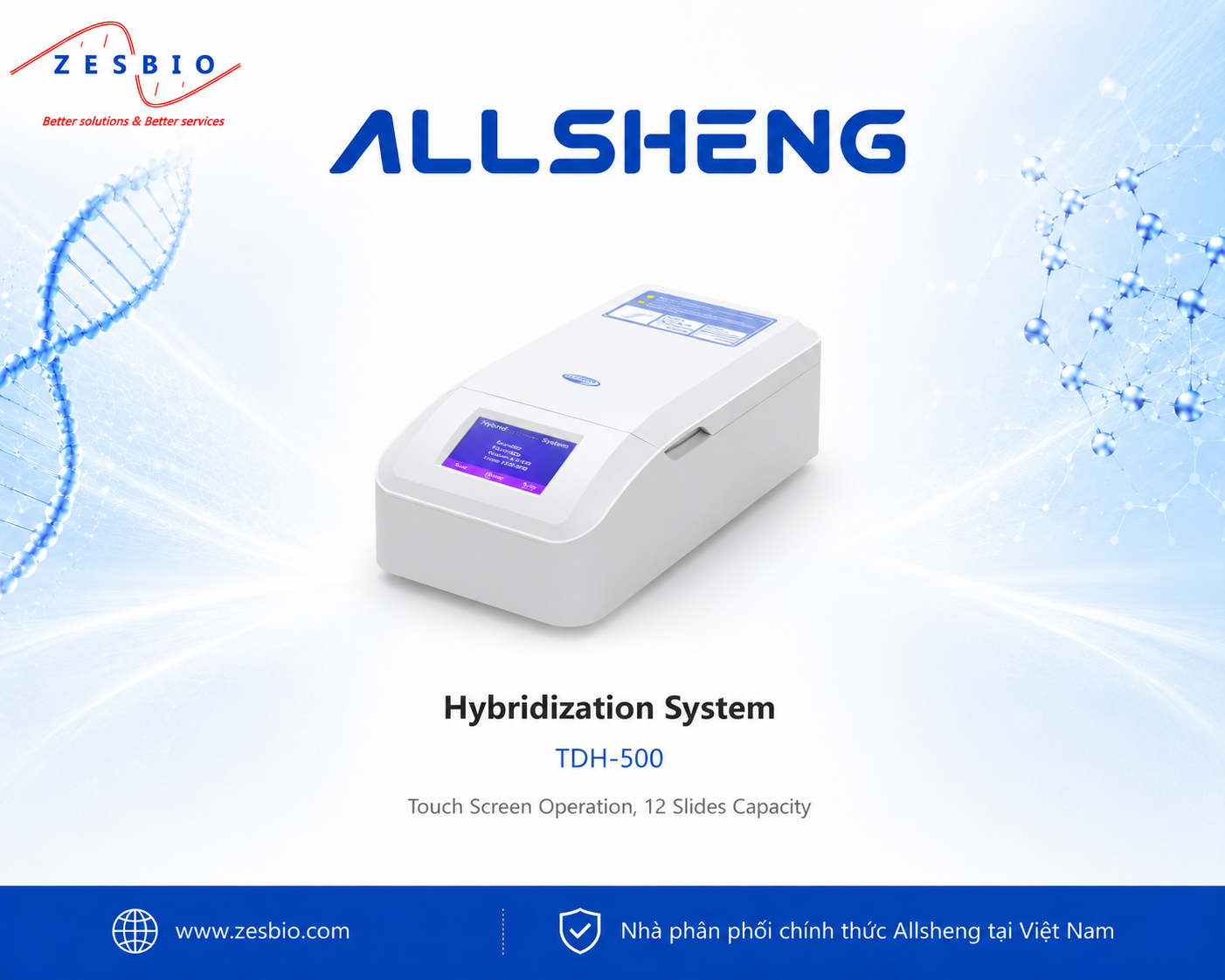 Allsheng Hybridization